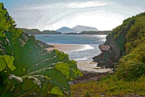 Deenish and Scariff Islands in Derrynane