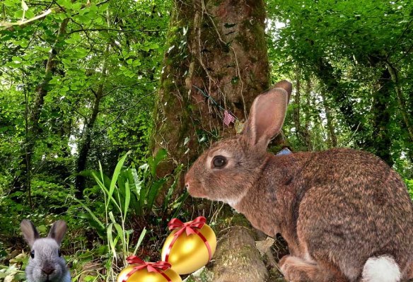 Irish Fairy Trails easter bunny