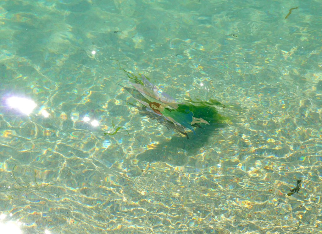 family activities in Kerry