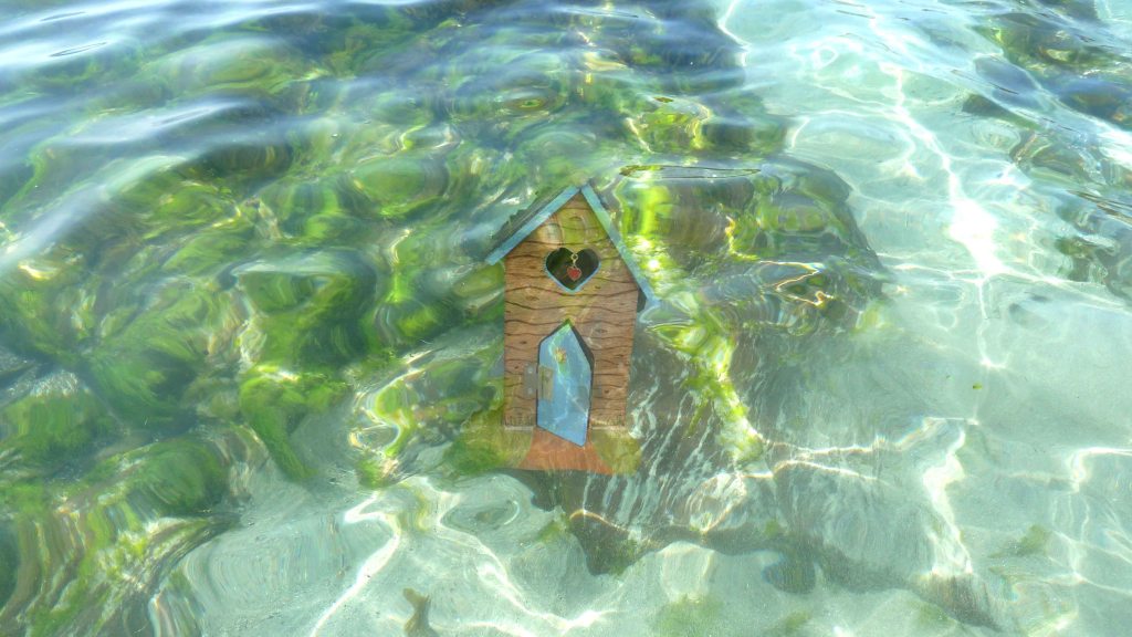 P1050504 underwater house copy