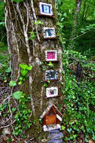 Fairy windows in Ireland